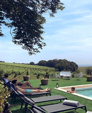 Chateau de Tauzies_Piscine dans les vignes